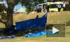 В Австралии унесло ветром батут с детьми