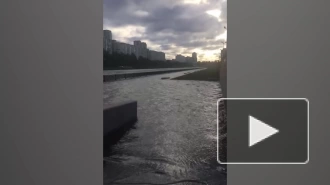 Вода в реках Петербурга вышла из берегов и затопила гранитные набережные