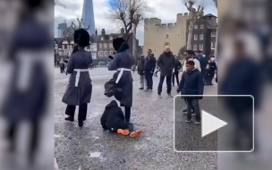 В Лондоне королевский гвардеец сбил с ног ребенка во время марша