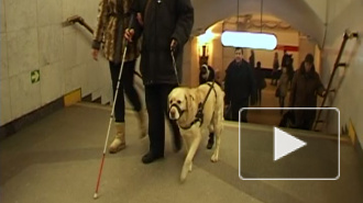 Журналисты Piter.tv первыми спустились в подземку с собакой-поводырем