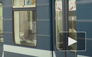 Оголившийся развратник с "Электросилы" попался полиции