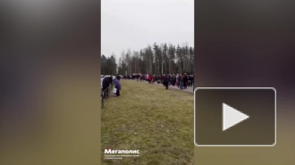 Видео: в Песочном пациенты онкоцентра выстроились в многокилометровую очередь