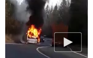 На трассе Светогорск — Петербург автобус загорелся на ходу