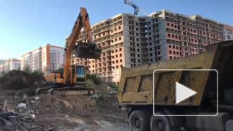 В Мурино приступили к уничтожению "Соколиной горы"