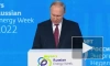 Путин высказался об альтернативных источниках энергии