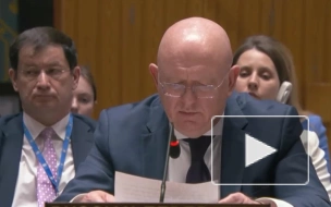 Небензя: Зеленский отвергает мирные предложения США, чтобы скрыть преступления