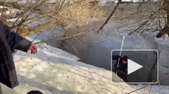 В Звенигороде нашли тело второго погибшего ребенка