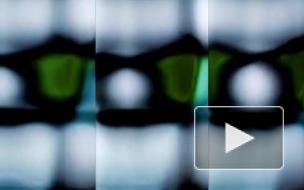 Интерактивное digital-art приключение Universum покажут на "Севкабеле"