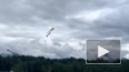 Опубликовано видео крушения самолета пилотажной группы ...