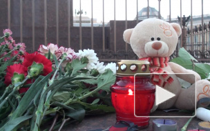 На Дворцовую продолжают идти люди, скорбящие о пассажирах рокового рейса