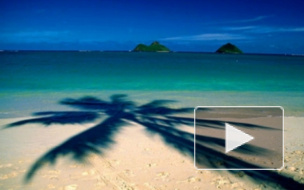 Турфирма "Южный крест": 9 тыс клиентов ждут помощи за рубежом, "РЕСО-Гарантия" выплатит компенсации