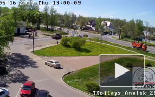 Видео: на Красносельском шоссе маршрутка с пассажирами врезалась в дерево 