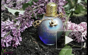 TAYLOR SWIFT Wonderstruck Парфумована Вода-Спрей