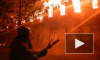В Петербурге горит жилой дом на улице Шкапина