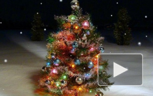 Стало известно, какие мероприятия на новогодние праздники 2015 пройдут в Санкт-Петербурге