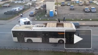 В Невском районе сбили мужчину с ирокезом, разгуливавшего по улицам в трусах