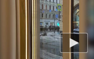 Падения людей на тротуаре Большого проспекта П.С. попало на видео