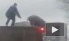 Видео схватки человека и свиньи на крыше фуры взорвало социальные сети