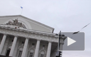 В Петербурге сильный ветер будет валить деревья и рекламные щиты