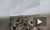 Россиянин снял на видео незаконную свалку из миллиона автомобильных шин
