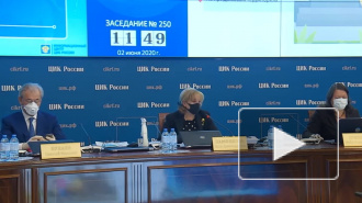 Памфилова пригласила скептиков в наблюдатели на голосование по поправкам