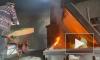 В Ленобласти сожгли 240 зараженных хризантем
