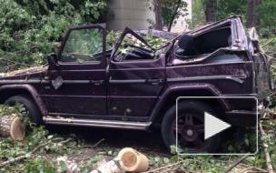 Последствие шторма в Москве: пострадали семь человек, повалено более 300 деревьев