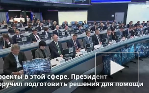 Мишустин поручил тщательно проработать возможность производить аттракционы в России