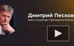 Песков: нападение украинской ДРГ в Белгородской области вызывает глубокую обеспокоенность