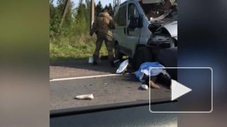 В ДТП рядом с Пижмой в микроавтобусе погибли два человека 