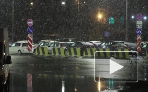 В Петербурге за ночь выпало 8 мм снега