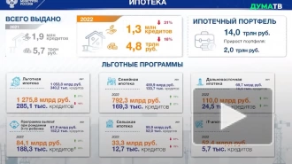 Количество ипотечных кредитов на частные дома в России за 2022 год выросло в три раза