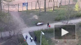 Видео: на проспекте Стачек дети три часа играли напротив ...