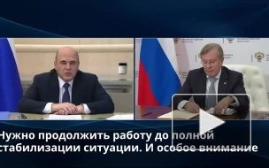 Мишустин призвал не повторить сбои в логистике портов Дальнего Востока