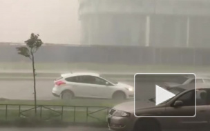 МЧС Петербурга предупреждает о порывистом ветре и дожде в пятницу