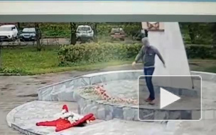 В Подмосковье вандал растоптал цветы на обелиске в честь Победы в ВОВ