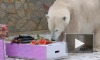 В Ленинградском зоопарке медведице Хаарчаане исполнилось 6 лет