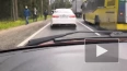 На Приморском шоссе Renault Sandero снес столб