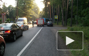 Петербуржцы перестали покупать автомобили, продажи в августе сократились на четверть