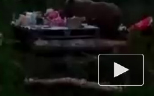 Под Норильском медведь украл еду у туристов и попал на видео