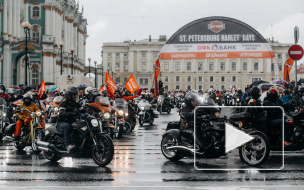 Harley Days собрал в Петербурге более 4000 байкеров из 35 стран