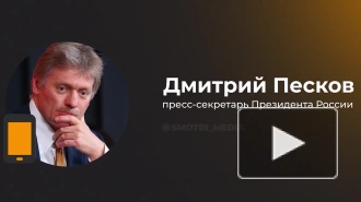 Песков: награды не влияют на размер выплаты раненым участникам СВО