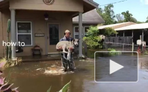 Google уместил в 2 минуты главные события 2017 года в Мире