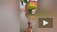 Улицы Петербурга затопило из-за ливня 3 августа