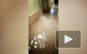 В Петербурге затопило Боткинскую больницу