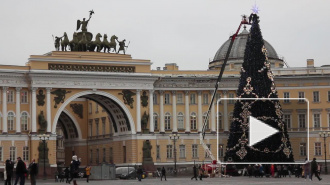 Новогодний Петербург будут украшать 17 искусственных елей