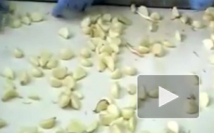 В сети набирает популярность шутка о запрете употребления чеснока