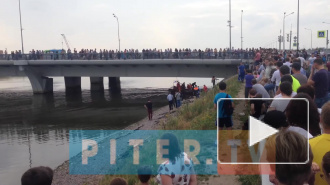 Два ребенка упали с моста Кадырова, ведутся спасательные работы