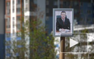 Жители Купчино просят Владимира Ушакова разобраться с "фруктовой свалкой" на Витебском проспекте