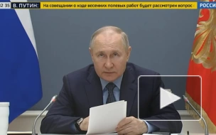 Путин заявил, что аграрии в новых регионах должны получать необходимую поддержку